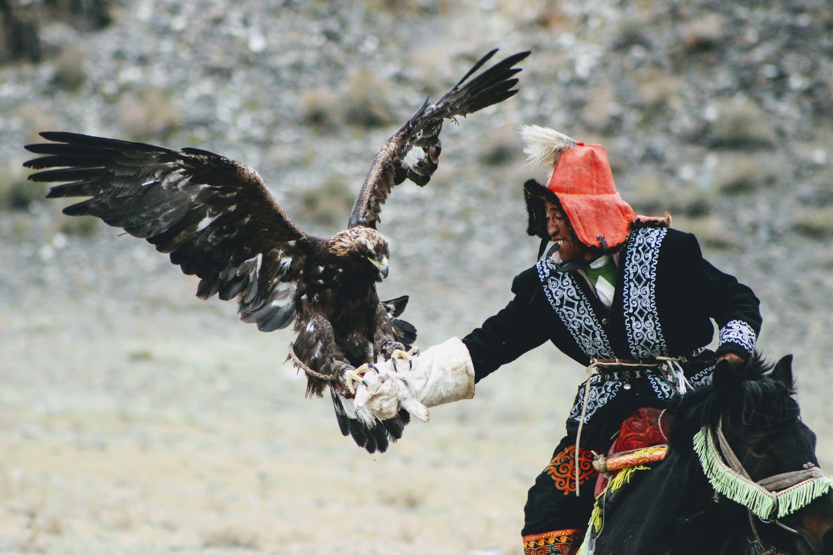 Western Mongolia eagle hunter