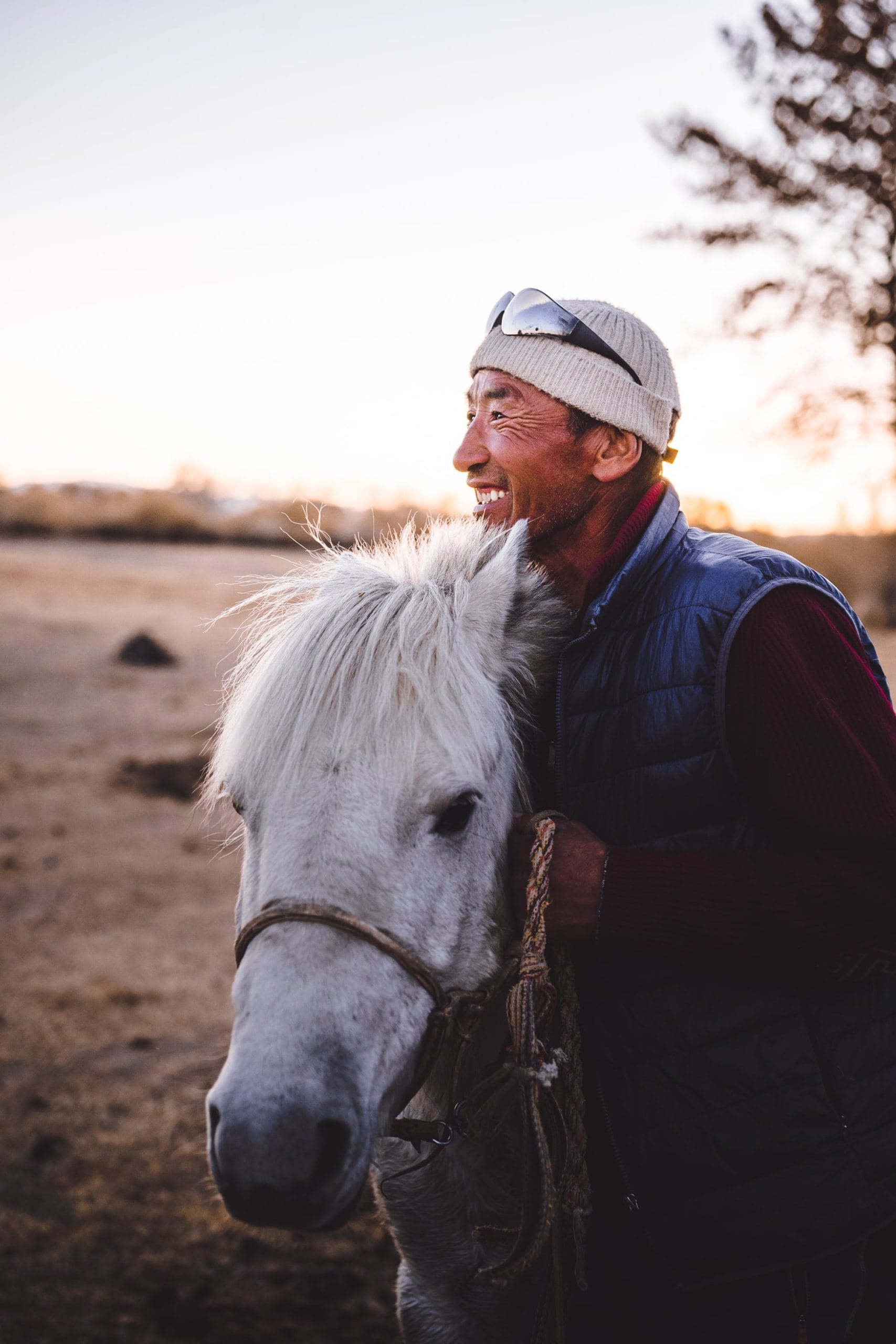 Mongolian Horseman and goldenhour