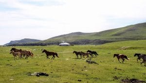 Gobi-desert-Central-Mongolia-horse-trekking-orhon-valley-cental-mongolia