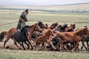 Horse-trails-mongolia-tours-mongolia-treval-mongolia-treks-mongolia-riding-mongoli-