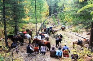 trekking-mongolia-group-horse-trekking-terelj-nationap-park-mongolia-horse-trails-mongolia