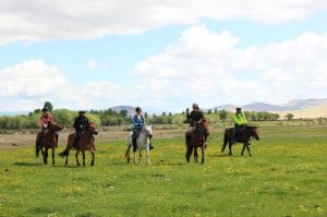 trekking-mongolia-group-horse-trekking-terelj-nationap-park-mongolia-horse-trails-mongolia-horses-arkhangai-riding