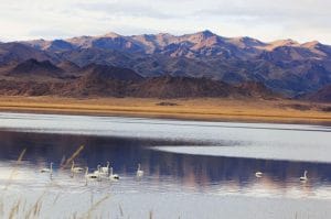 trekking-mongolia-group-horse-trekking-terelj-nationap-park-mongolia-horse-trails-mongolia-horses-khazakh-eagle-hunters-olgii-bayan-olgii-shaazgai-lake-riding-bird-watch-western-