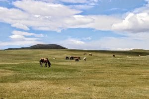 trekking-mongolia-group-horse-trekking-terelj-nationap-park-mongolia-horse-trails-mongolia-steppe-trails-ride-mongolia-new-airport-tov-province-steppe-horses-mongolia