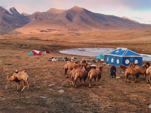 Camel tent kharkhiraa mountains