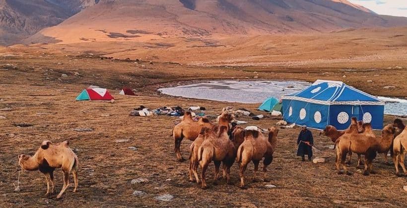 camping near Kharkhiraa Mountains with pack camel Camel tent kharkhiraa mountains