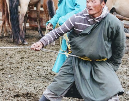 Horseman Mongolian