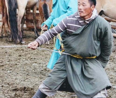 Horseman Mongolian